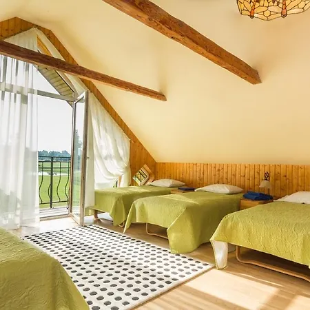 Country house Laimes Ligzda Araisi