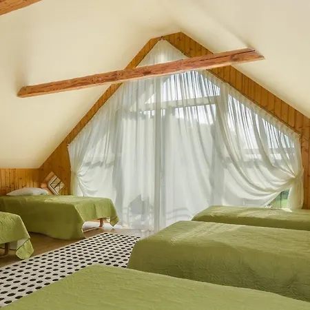 Laimes Ligzda Country house Araisi